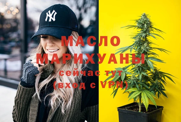 мдпв Каменка
