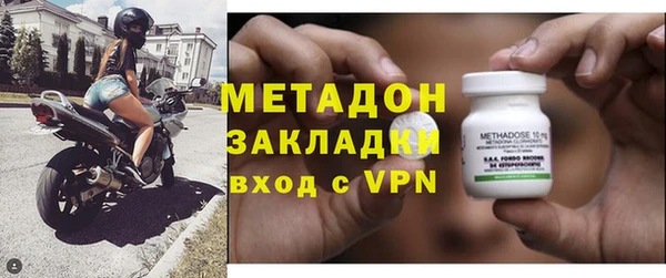 прущие грибы Иннополис