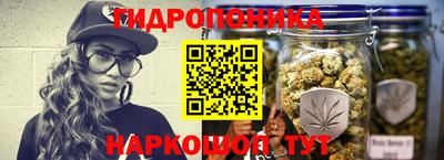 амф Кандалакша