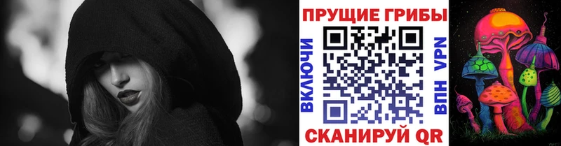 где продают Краснознаменск Псилоцибиновые грибы мицелий