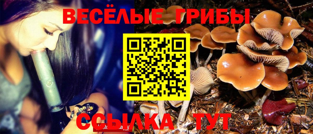 Галлюциногенные грибы мухоморы  Вход с VPN  Краснознаменск 
