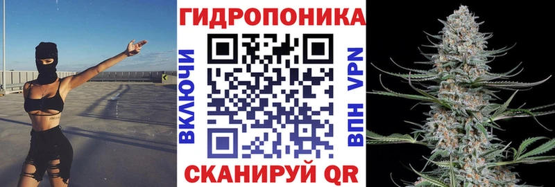 Конопля OG Kush Краснознаменск